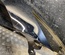 Tesla MODEL 3 2019 Wing right side - Thumbnail 2