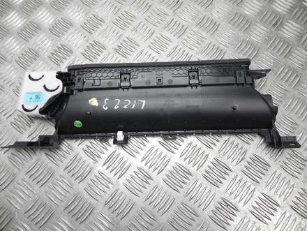 Tesla 1083320-00-F. 1083320-00-F / 108332000F108332000F Model Y 2022 Luftdüse